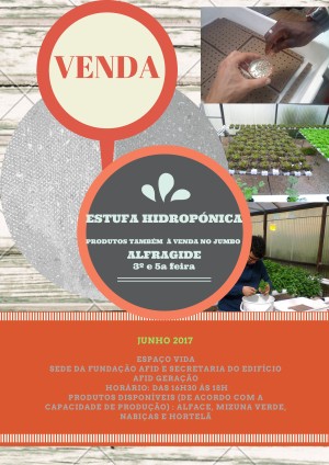 VENDA DE VERDES I ESTUFA HIDROPÓNICA