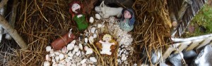Presepio