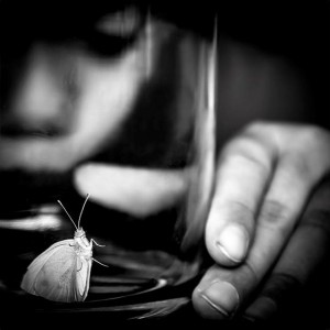 Vencedores do Prémio Fundação AFID 2015 Fotografia